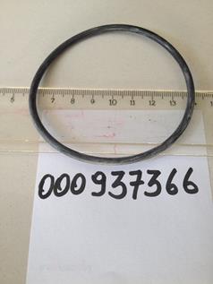  000937366