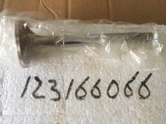  123166066